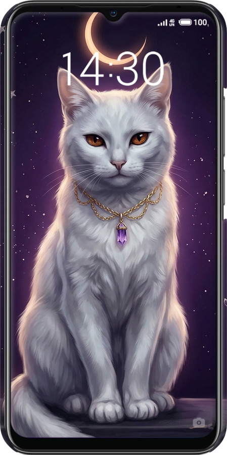 3D пластиковий матовий чехол Mystic White Cat Gothic Dark Purple Gold для Meizu Note 9 - 6805m-1689 изображение 
