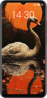 2D пластиковый чехол Лебедь для Meizu Note 9 - 5964t-1689 изображение 