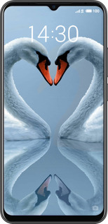2D пластиковый чехол Лебеди для Meizu Note 9 - 6007t-1689 изображение 