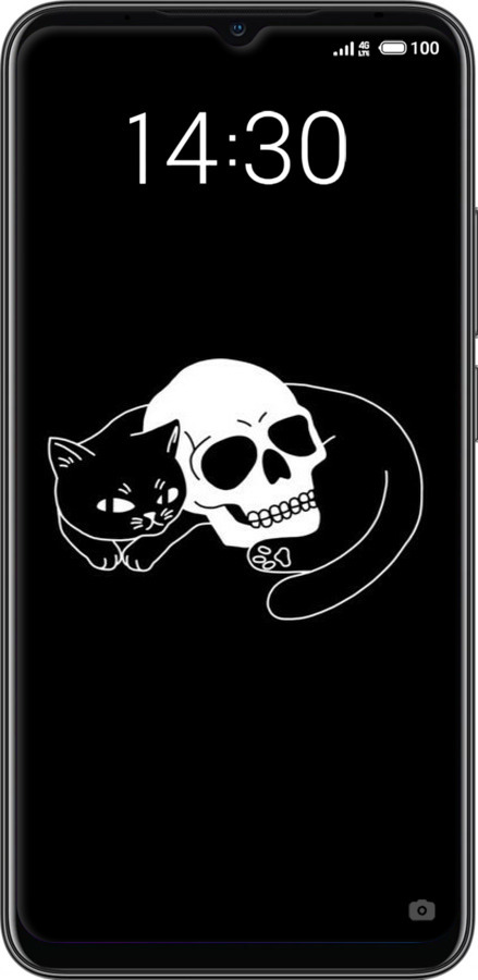2D пластиковый чехол С изображением кота и черепа для Meizu Note 9 - 6491t-1689 изображение 