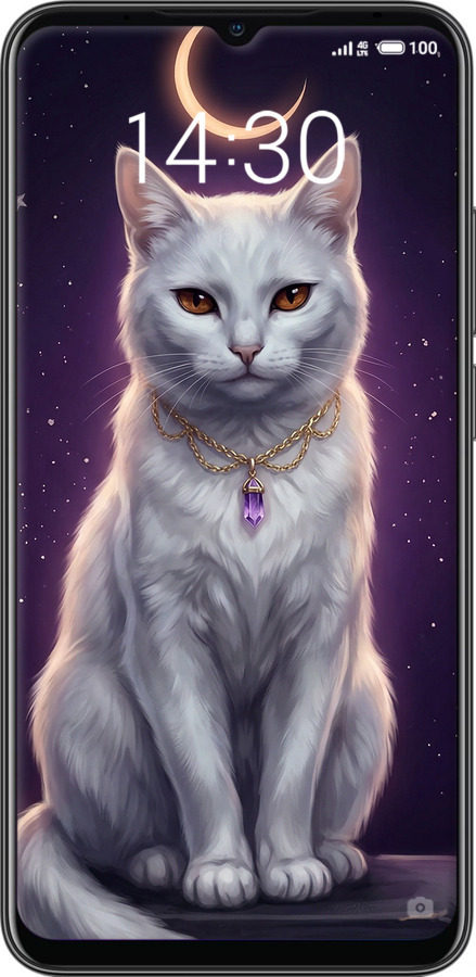 2D пластиковый чехол Mystic White Cat Gothic Dark Purple Gold для Meizu Note 9 - 6805t-1689 изображение 