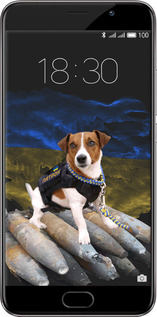 Силиконовый чехол Патрон для Meizu Pro 6 Plus - 5320u-678 изображение 
