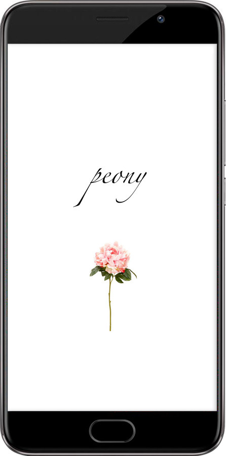 Силіконовий чехол Півонія для Meizu Pro 6 Plus - 4366u-678 изображение 