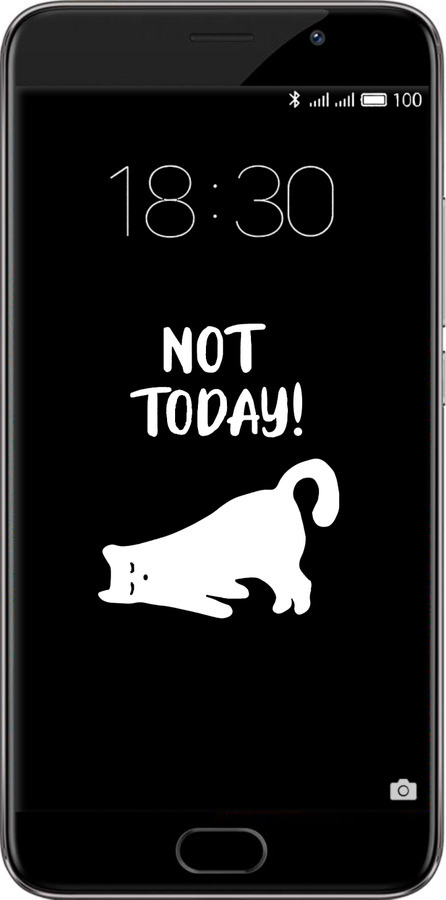 Силіконовий чехол Втомлений кіт для Meizu Pro 6 Plus - 4535u-678 изображение 