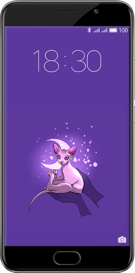 Силіконовий чехол Кіт2 для Meizu Pro 6 Plus - 4676u-678 изображение 
