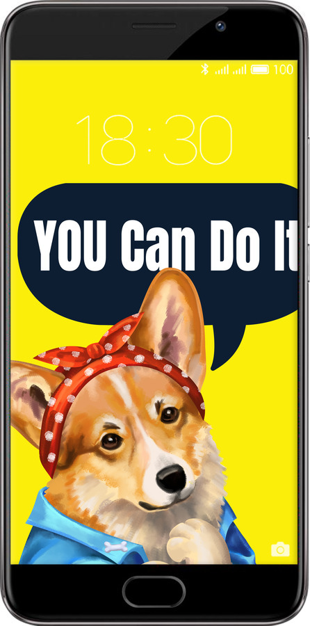 Силіконовий чехол чехол с корги You Can Do It для Meizu Pro 6 Plus - 6184u-678 изображение 