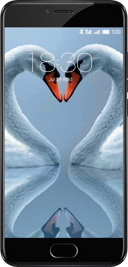 2D пластиковый чехол Лебеди для Meizu Pro 6 - 6007t-293 изображение 