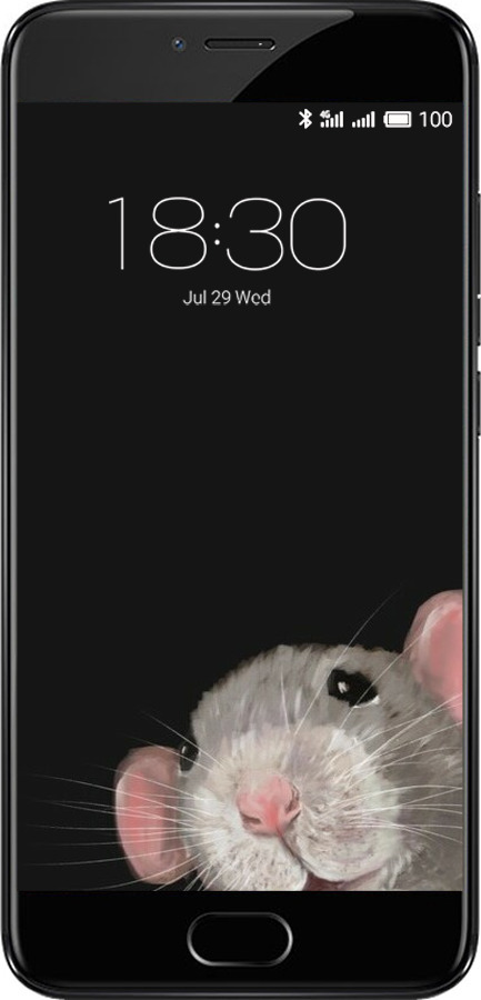 2D пластиковый чехол The Peeking Rat для Meizu Pro 6 - 6442t-293 изображение 
