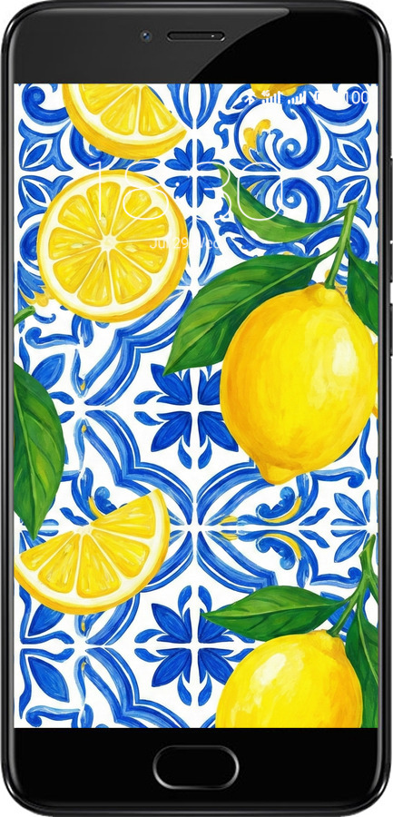 2D пластиковий чехол Grocery Girl Italian Summer для Meizu Pro 6 - 6766t-293 изображение 