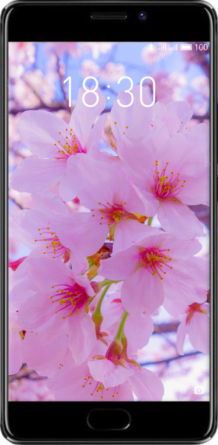2D пластиковый чехол Сакура для Meizu Pro 7 Plus - 6029t-1131 изображение 
