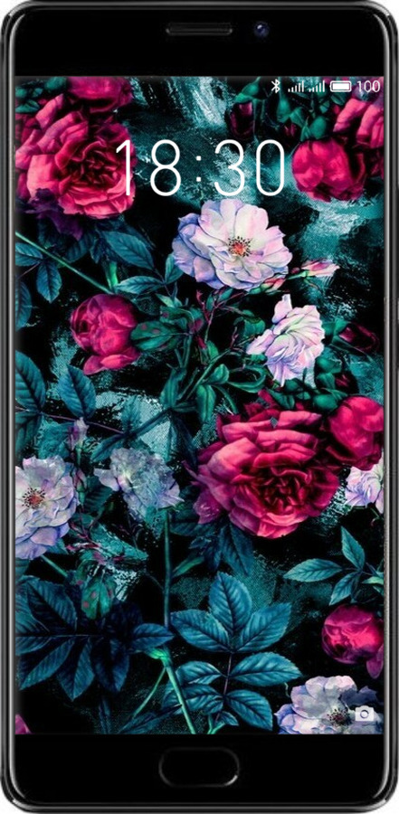 2D пластиковый чехол Сад и розы для Meizu Pro 7 Plus - 6483t-1131 изображение 
