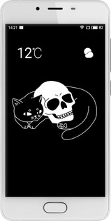 2D пластиковый чехол С изображением кота и черепа для Meizu U10 - 6491t-415 изображение 