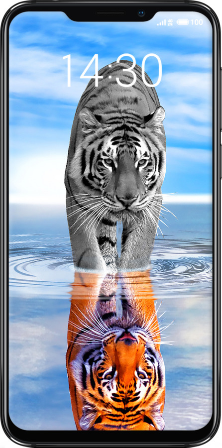 Силиконовый чехол Тигр для Meizu X8 - 6016u-1601 изображение 
