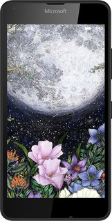 2D пластиковий чехол Північ у саду II для Microsoft Lumia 640 - 6424t-273 изображение 