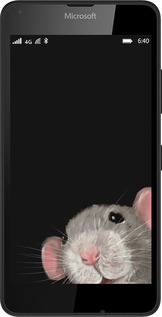 2D пластиковый чехол The Peeking Rat для Microsoft Lumia 640 - 6442t-273 изображение 
