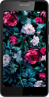 2D пластиковий чехол Сад та троянди для Microsoft Lumia 640 - 6483t-273 изображение 