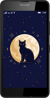 2D пластиковый чехол Cute Cat Celestial/Witchy для Microsoft Lumia 640 - 6787t-273 изображение 