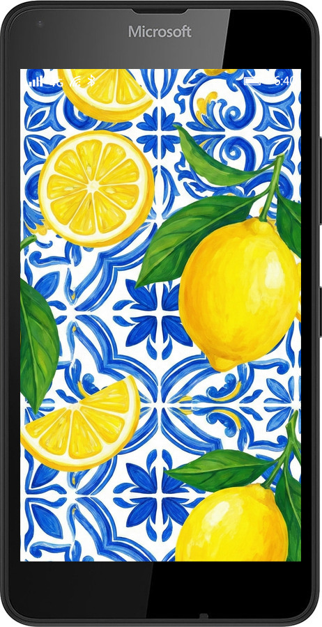 2D пластиковый чехол Grocery Girl Italian Summer для Microsoft Lumia 640 - 6766t-273 изображение 