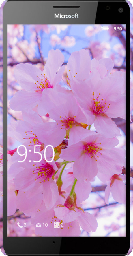 3D пластиковый глянцевый чехол Сакура для Microsoft Lumia 950 XL Dual Sim - 6029c-407 изображение 