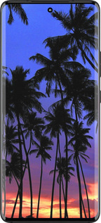 Силиконовый чехол Пальмы для Motorola Edge 30 Fusion 5G - 4324u-3198 изображение 