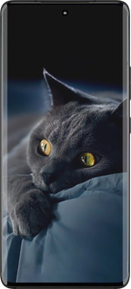 Силиконовый чехол Дымчатый кот для Motorola Edge 30 Fusion 5G - 825u-3198 изображение 