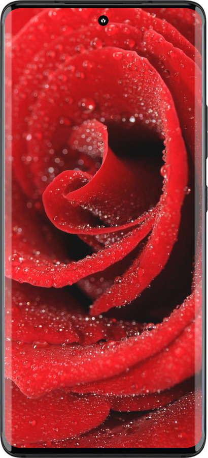 Силиконовый чехол Красная роза для Motorola Edge 30 Fusion 5G - 529u-3198 изображение 