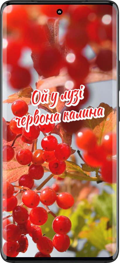 Силиконовый чехол Калина для Motorola Edge 30 Fusion 5G - 5454u-3198 изображение 