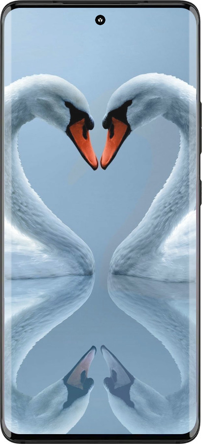Силиконовый чехол Лебеди для Motorola Edge 30 Fusion 5G - 6007u-3198 изображение 