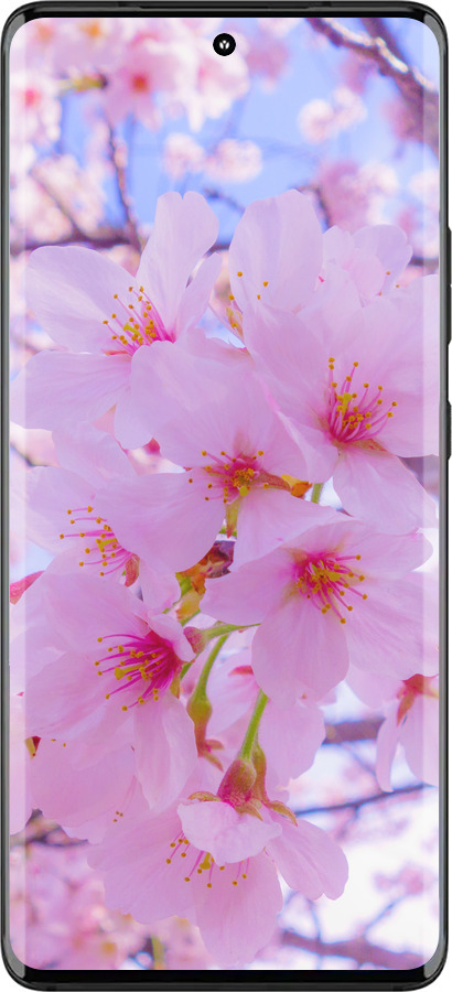 Силиконовый чехол Сакура для Motorola Edge 30 Fusion 5G - 6029u-3198 изображение 