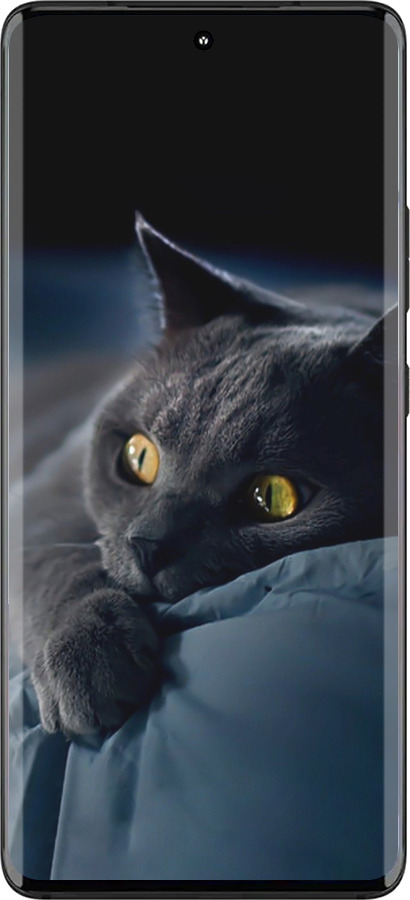 Силиконовый чехол Дымчатый кот для Motorola Edge 30 Fusion 5G - 825u-3198 изображение 