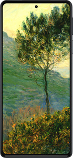 Силиконовый чехол Клод Моне для Motorola Edge 30 Pro - 1193u-2826 изображение 