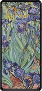 Силиконовый чехол Винсент Ван Гог. Ирисы для Motorola Edge 30 Pro - 161u-2826 изображение 