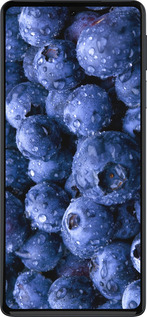 Силиконовый чехол Голубика для Motorola Edge 30 Pro - 4459u-2826 изображение 