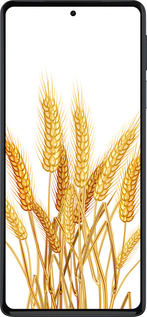 Силиконовый чехол Колоски пшеници для Motorola Edge 30 Pro - 5866u-2826 изображение 