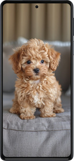 Силиконовый чехол Mini-maltipoo для Motorola Edge 30 Pro - 6158u-2826 изображение 