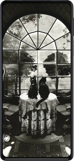 Силиконовый чехол Череп и коты для Motorola Edge 30 Pro - 6432u-2826 изображение 