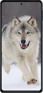 Силиконовый чехол Бегущий волк для Motorola Edge 30 Pro - 826u-2826 изображение 