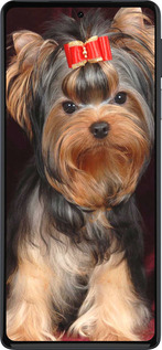Силиконовый чехол Йоркширский терьер для Motorola Edge 30 Pro - 929u-2826 изображение 