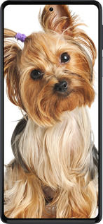 Силиконовый чехол Йоркширский терьер с хвостиком для Motorola Edge 30 Pro - 930u-2826 изображение 