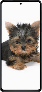 Силиконовый чехол Щенок йоркширского терьера для Motorola Edge 30 Pro - 931u-2826 изображение 