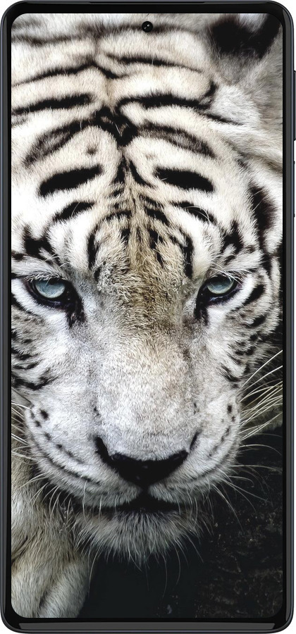 Силиконовый чехол Грустный белый тигр для Motorola Edge 30 Pro - 106u-2826 изображение 