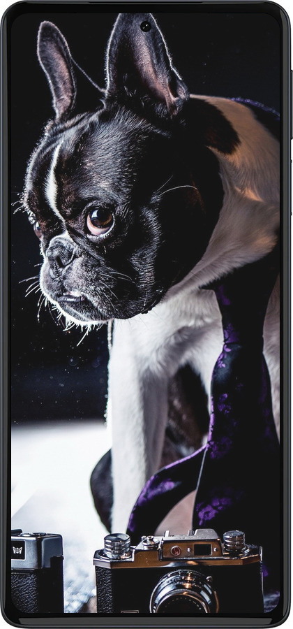 Силиконовый чехол Бульдог-фотограф для Motorola Edge 30 Pro - 142u-2826 изображение 