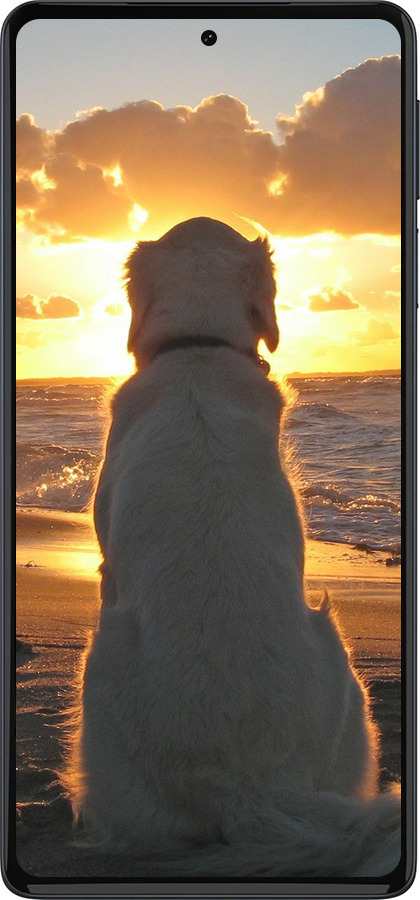 Силиконовый чехол Закат и собака для Motorola Edge 30 Pro - 3966u-2826 изображение 