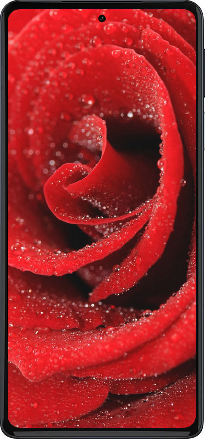 Силиконовый чехол Красная роза для Motorola Edge 30 Pro - 529u-2826 изображение 