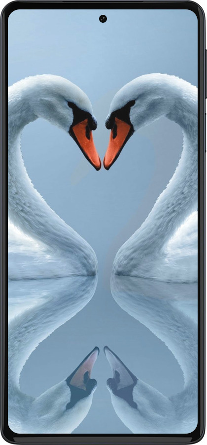 Силіконовий чехол Лебеді для Motorola Edge 30 Pro - 6007u-2826 изображение 