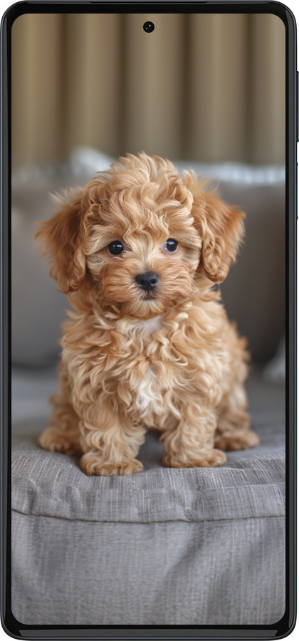 Силиконовый чехол Mini-maltipoo для Motorola Edge 30 Pro - 6158u-2826 изображение 