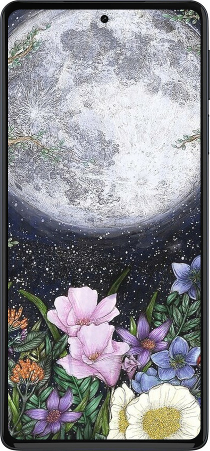 Силиконовый чехол Полночь в саду II для Motorola Edge 30 Pro - 6424u-2826 изображение 
