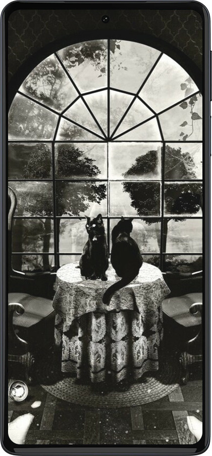 Силиконовый чехол Череп и коты для Motorola Edge 30 Pro - 6432u-2826 изображение 