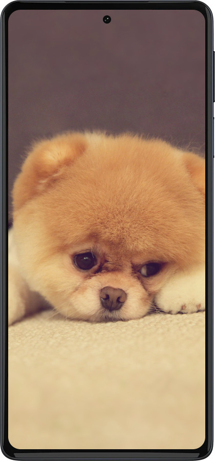 Силиконовый чехол Boo 2 для Motorola Edge 30 Pro - 890u-2826 изображение 