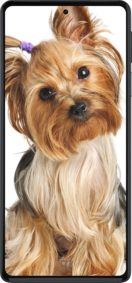 Силиконовый чехол Йоркширский терьер с хвостиком для Motorola Edge 30 Pro - 930u-2826 изображение 
